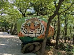 -沂蒙山旅游区龟蒙景区