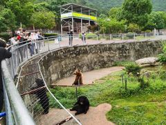 -无锡动物园·太湖欢乐园