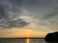 -宝安西湾红树林湿地公园