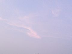-野狸岛
