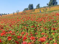 -长春世界雕塑园冰雪艺术天地