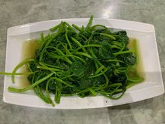 地瓜叶-四川小胡子海鲜(丁村万人海鲜广场店)