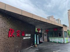 -陈家山荷花公园