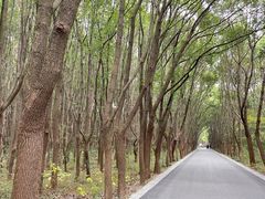 -同里国家湿地公园