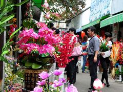 -桂林市花鸟市场