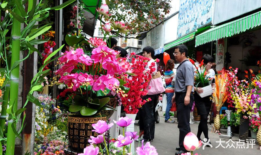 桂林市花鸟市场图片