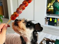 -和禄德冰糖葫芦