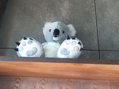 -了不起的考拉咖啡店(高新店)