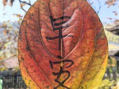 -北京水岸山吧度假村(雁栖镇店)
