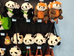 -石家庄市动物园