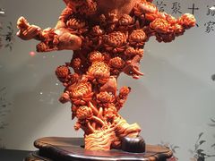 -绮丽珊瑚博物馆(台东店)