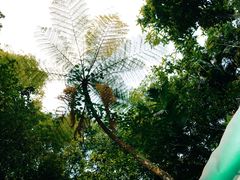 -热带雨林自然公园