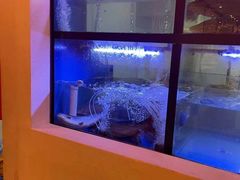 -令狐冲烤鱼·烧菜馆(达明店)