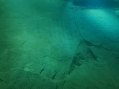 -白鹤梁水下博物馆