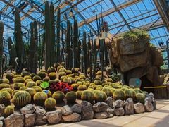 -南山植物园