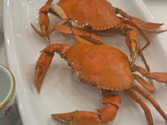 -川林海鲜酒家·湾仔传统早茶·粤菜