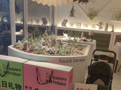 -春树下·树屋花房西餐厅(罍街AS1980店)