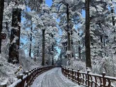 -瓦屋山景区