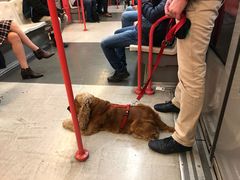 -米兰马尔彭萨国际机场