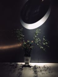 点击看大图 -美壹生诊所皮肤管理中心·海菲秀&Legacy美白舱