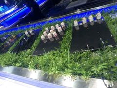 -V-ONE西雅图海鲜自助餐厅(仓山万达广场店)