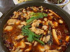 -九寨沟石锅鱼(沣峪口二十年店)