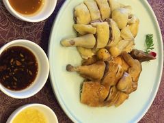 -欢乐海岸美食联盟