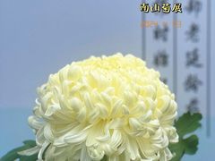 -南山植物园