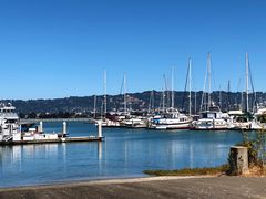 -香港东海海鲜酒家