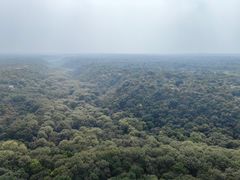 -大青沟风景区