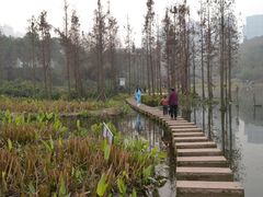 -重庆彩云湖湿地公园
