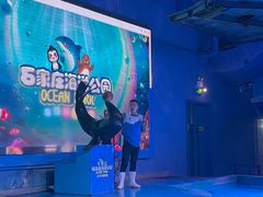 -石家庄海洋公园