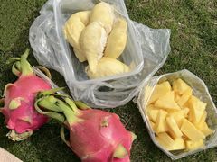 -昆山城市生态森林公园