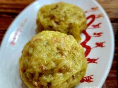 -象角群记(华柏店)