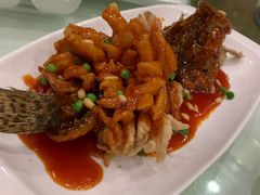 松鼠鳜鱼-金时代顺风大酒店(爱琴海购物中心店)