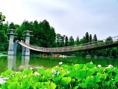 -东湖落雁景区