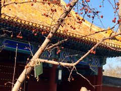 -成都驻京办餐厅(蜀都宾馆店)