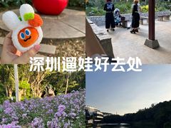 -深圳国际园林花卉博览园