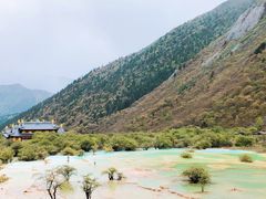 -黄龙山原始森林景区