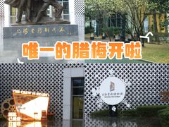 -上海电影博物馆