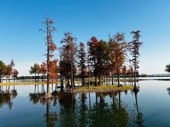 -贡湖湾湿地公园