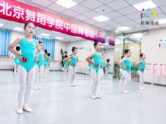 -梧桐花语舞蹈培训中心(潞城校区)