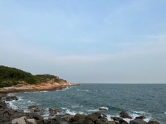 -广东惠东海龟国家级自然保护区