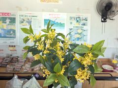 -苏州市吴中区光福窑上花果蜜饯厂