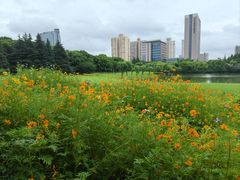 -黄兴公园