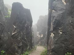 -玉石林风景区