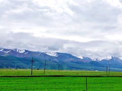 -祁连山草原