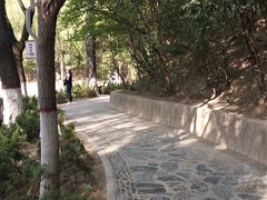 -西安市长乐公园