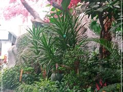 -滕头生态酒店(奉化店)