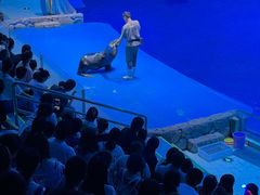 -芜湖新华联大白鲸海洋公园